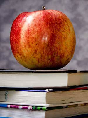 网络ddos监测分析工具