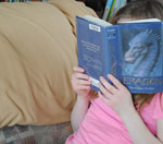 Web漏洞扫描工具